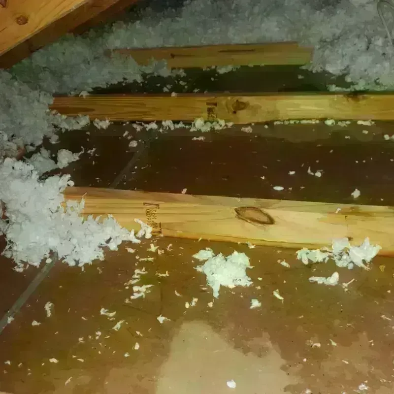 Attic Water Damage in Hampton, GA