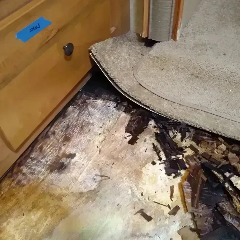 Best Wood Floor Water Damage Service in Hampton, GA